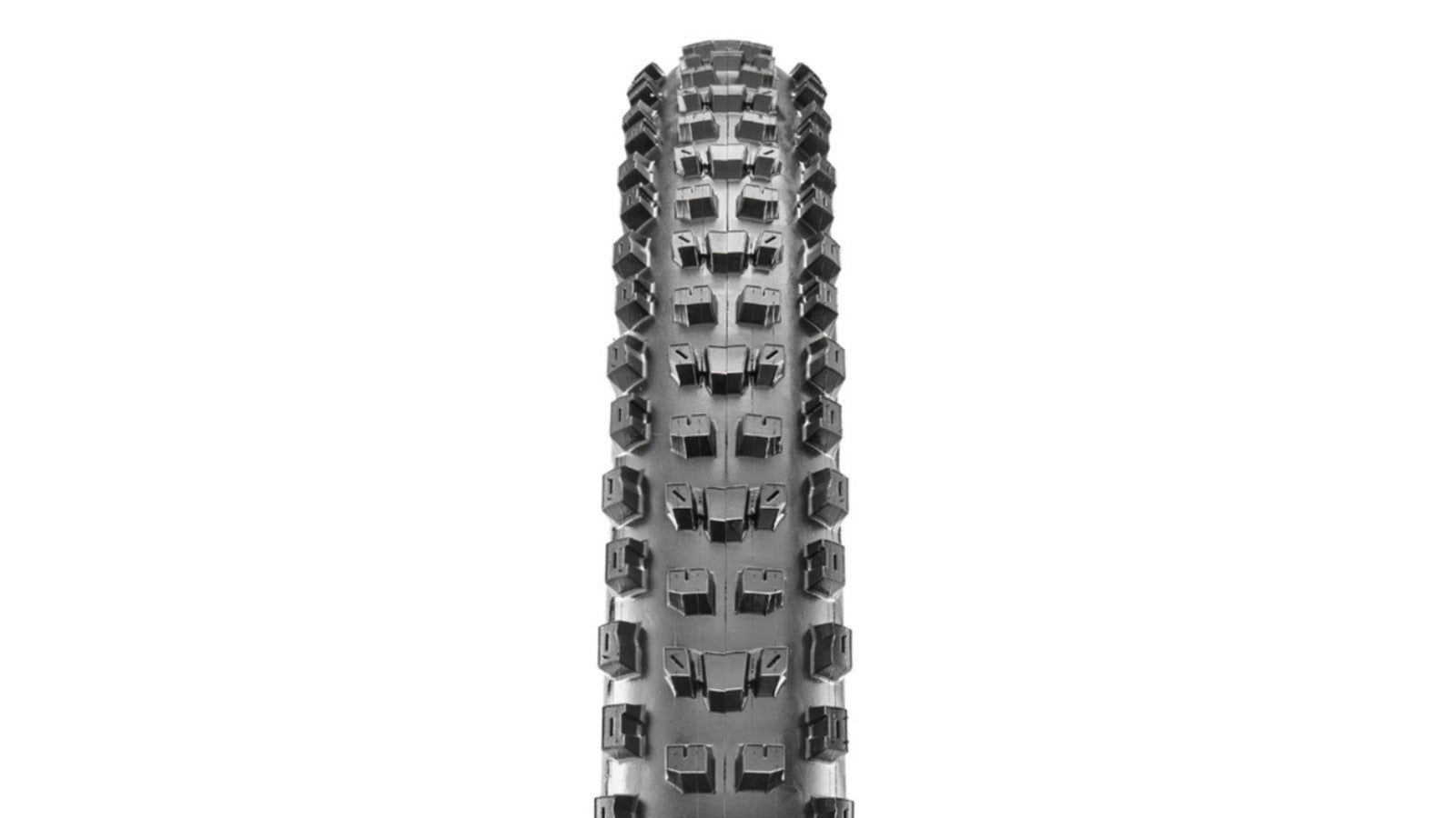 Cubierta Maxxis Dissector Wide Trail EXO+ Protection - 3C MaxxTerra - Tubeless Ready