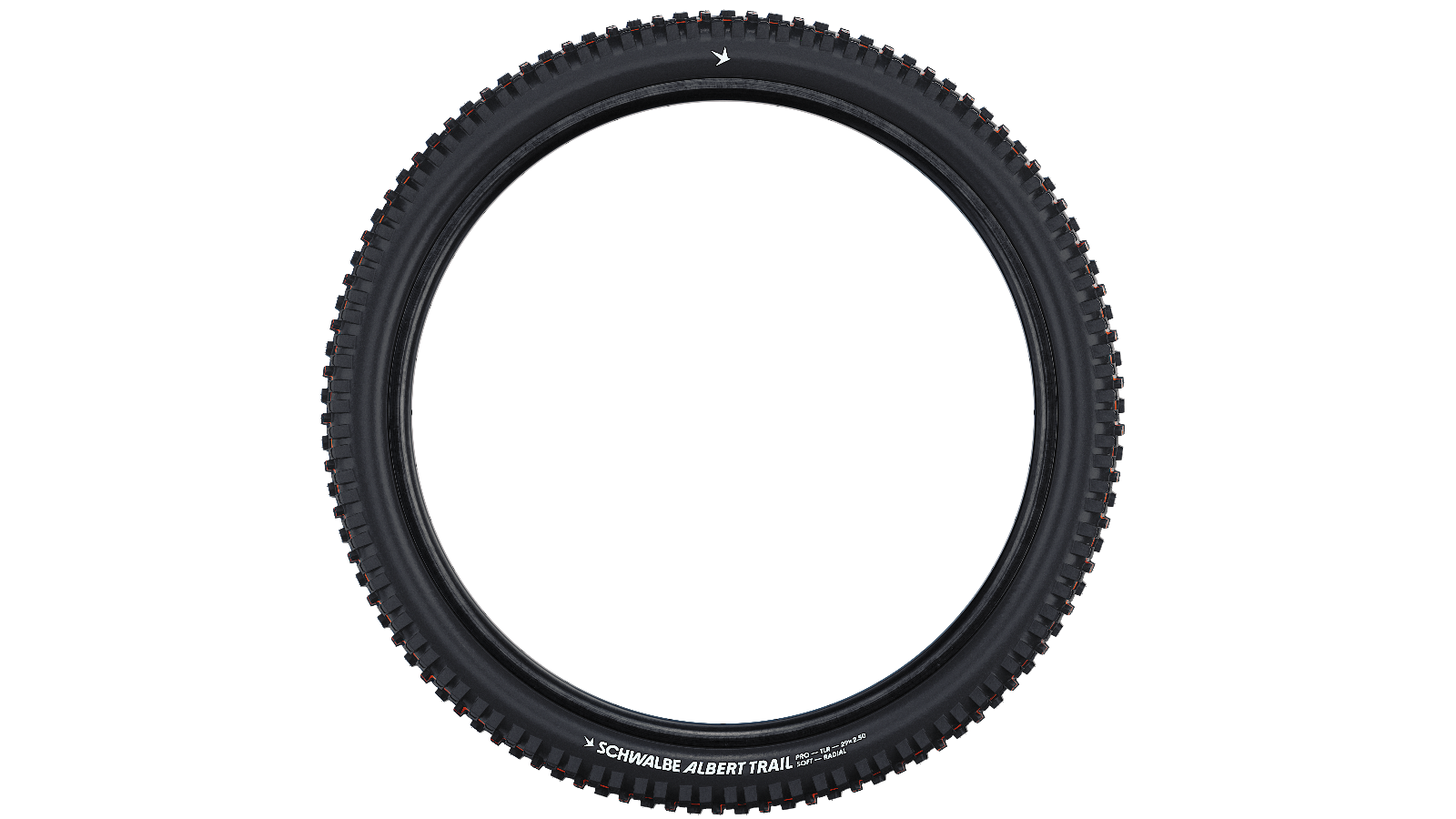 Pneu Schwalbe Albert Trail Pro Radial Addix Soft TLR profil